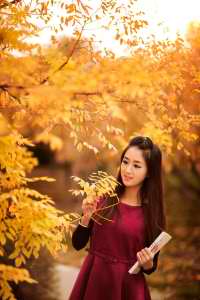 电视剧妈妈在等你分集剧情